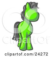 Cute Lime Green Pony Horse Looking Out At The Viewer
