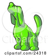 Lime Green Tick Hound Dog Howling Or Sniffing The Air