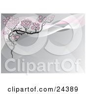 Clipart Illustration Of Pink Sakura Cherry Blossom Flowers On A Branch Over A Gray And Pink Twisting Background