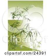 Clipart Illustration Of A Bright Burst Of Light Beaming Through Bamboo Stalks And Leaves Over Green by Eugene