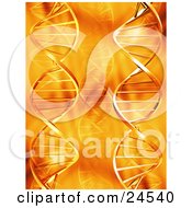 Faded And Bold Double Helix Dna Strands Over An Orange Background