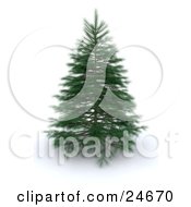 Realistic Green 3d Pine Tree With Delicate Branches Over White