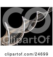 Twisting Chrome Double Helix Strand Of Dna Over A Black Background