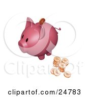 Pink Piggy Bank With Stacks Of Euro Coins One Coin Going Into The Slot