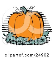 Clipart Picture Of A Plump And Round Orange Halloween Or Thanksgiving Pumpkin On Top Of A Pile Of Green Leaves