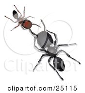 Clipart Illustration Of A Large Black Worker Ant Facing And Conversing With A Little Brown Ant by Leo Blanchette