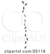 Clipart Illustration Of Worker Ants Following A Leader In A Single File Vertical Line by Leo Blanchette