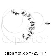Clipart Illustration Of A Lone Black Worker Ant Looking At His Team Trapped In A Bait Circle