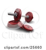 Poster, Art Print Of Dumbbell With Red Circle Weights