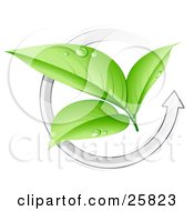Clipart Illustration Of Three Green Plant Leaves Wet With Dew In The Center Of A White Arrow by beboy