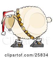 Festive White Sheep In Boots Jingle Bells And A Santa Hat