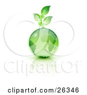 Green Seedling Plant Sprouting From A Green Earth Over A Reflective White Surface