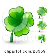 Poster, Art Print Of Big Green Four Leaf Clover With Two Dew Drops On The Leaves Also Includes Three Other Clovers