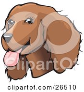 Poster, Art Print Of Friendly Brown Cocker Spaniel Dog With Its Tongue Hanging Out Of Its Mouth