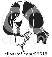 Poster, Art Print Of Friendly American Foxhound Dog Hanging Its Tongue Out Black And White