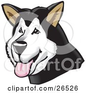 Clipart Illustration Of A Friendly Alaskan Malamute Dog Hanging His Tongue Out by David Rey
