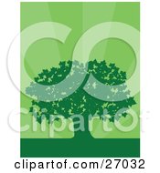 Poster, Art Print Of Green Silhouetted Maple Tree Over A Bursting Green Background