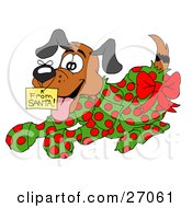 Poster, Art Print Of Excited Puppy Wrapped In Green And Red Polka Dot Wrapping Paper With A Red Bow And A From Santa Gift Tag On His Nose