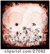 Pink Grunge Background Bordered By Black Grunge And Silhouetted Maroon Flowers