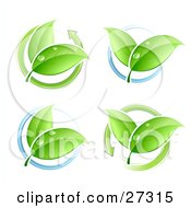 Four Sets Of Leaves With Dew Circled By Blue Rings Or Green Arrows