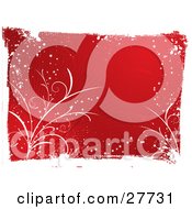 Poster, Art Print Of Red Bursting Winter Background Bordered By White Plants Stars Ans Grunge