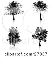 Poster, Art Print Of Set Of Four Silhouetted Trees Some With More Branches And Foliage Than Others