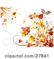 Poster, Art Print Of Orange And Yellow Autumn Leaves And Plants In The Upper Left And Lower Right Corners Of A White Background