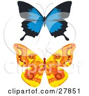 Blue And Black And Orange And Yellow Butterflies