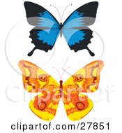 Poster, Art Print Of Blue And Black And Orange And Yellow Butterflies