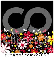 Poster, Art Print Of Colorful White Red Yellow And Orange Flowers And Butterflies Along The Bottom Half Of A Black Background