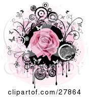 Poster, Art Print Of Blooming Pink Rose Over A Black Circle With Dripping Paint Black And White Flowers Circles And Butterflies Over A Pink And White Background