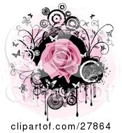 Clipart Illustration Of A Blooming Pink Rose Over A Black Circle With Dripping Paint Black And White Flowers Circles And Butterflies Over A Pink And White Background by KJ Pargeter