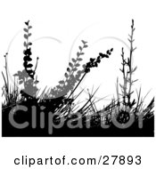 Clipart Illustration Of Black Silhouetted Foliage And Grasses Over A White Background