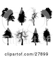 Set Of Eight Silhouetted Trees In Black And White