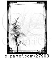White Background With Faded Gray And Solid Black Bare Trees Bordered By Black Grunge