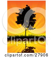 Poster, Art Print Of Tall Tree On A Shore Reflecting On Still Waters Against An Orange Sunset Sky With Rays Of Light