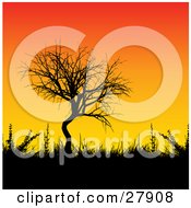Poster, Art Print Of Leafless Tree Grasses And Bushes Silhouetted Against A Gradient Orange And Yellow Sunset Background