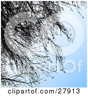 Clipart Illustration Of A Gradient Blue Background With Black Silhouetted Tree Branches by KJ Pargeter