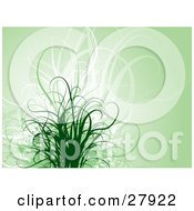 Clipart Illustration Of White Green And Faded Grasses Over A Pale Green Background