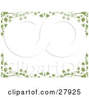 White Background Framed With Green Ivy Vines And Leaves