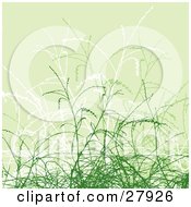 Clipart Illustration Of A Background Of Pale Green White And Green Grasses