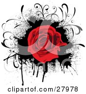 Clipart Illustration Of A Blooming Red Rose Over A Grunge Black Dripping Splatter On A White Background