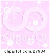 Poster, Art Print Of White Daisy Flowers And Swirls Over A Pink Background