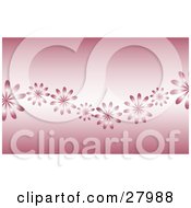 Clipart Illustration Of A Line Of Shiny Pink Daisies Waving Across A Pink Background