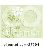 Clipart Illustration Of A Background Of Faded Green And White Flowers On Stems
