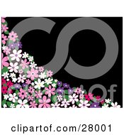 Clipart Illustration Of A Corner Of Pink Purple And White Daisy Flowers With Green Leaves Over A Black Background