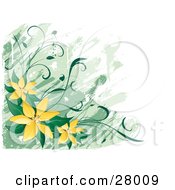Poster, Art Print Of White And Green Background With Yellow Lily Flowers And Green Leaves In The Lower Left Corner