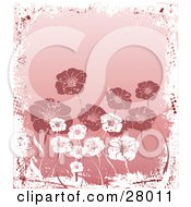 Poster, Art Print Of Background Of White And Pink Flowers Bordered By White Grunge