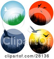 Poster, Art Print Of Set Of Four Wildlife Birds Flying Over Grasses In Circle Icons