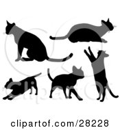 Set Of Silhouetted Kitty Cats Sitting Laying Stretching Walking And Standing Up On Their Hind Legs
